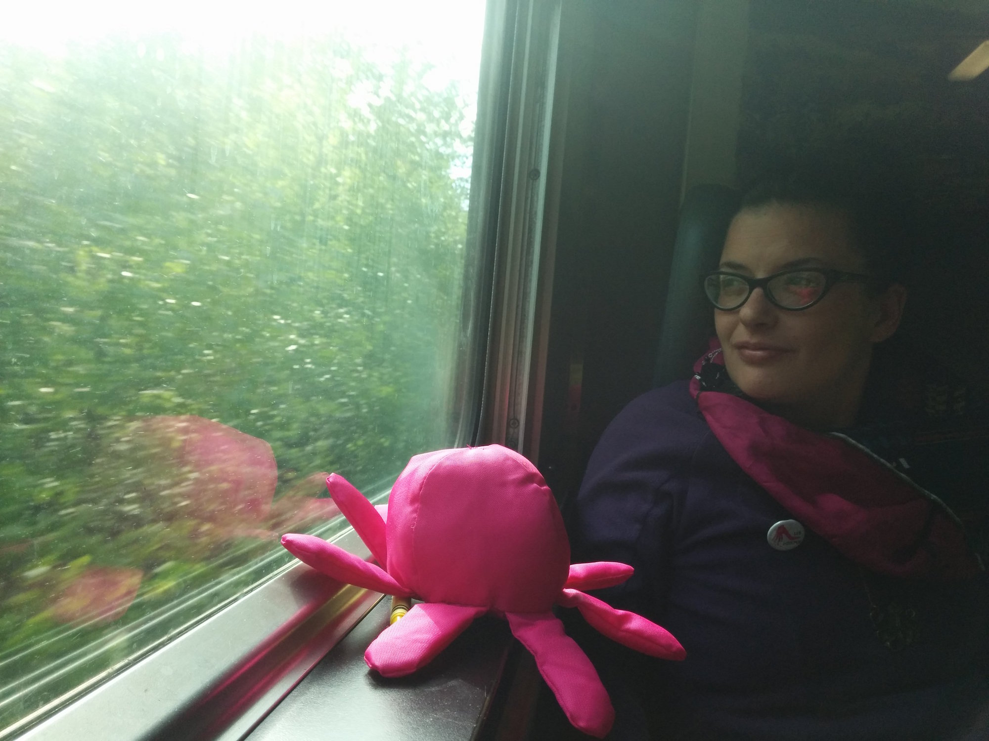 anicktrain