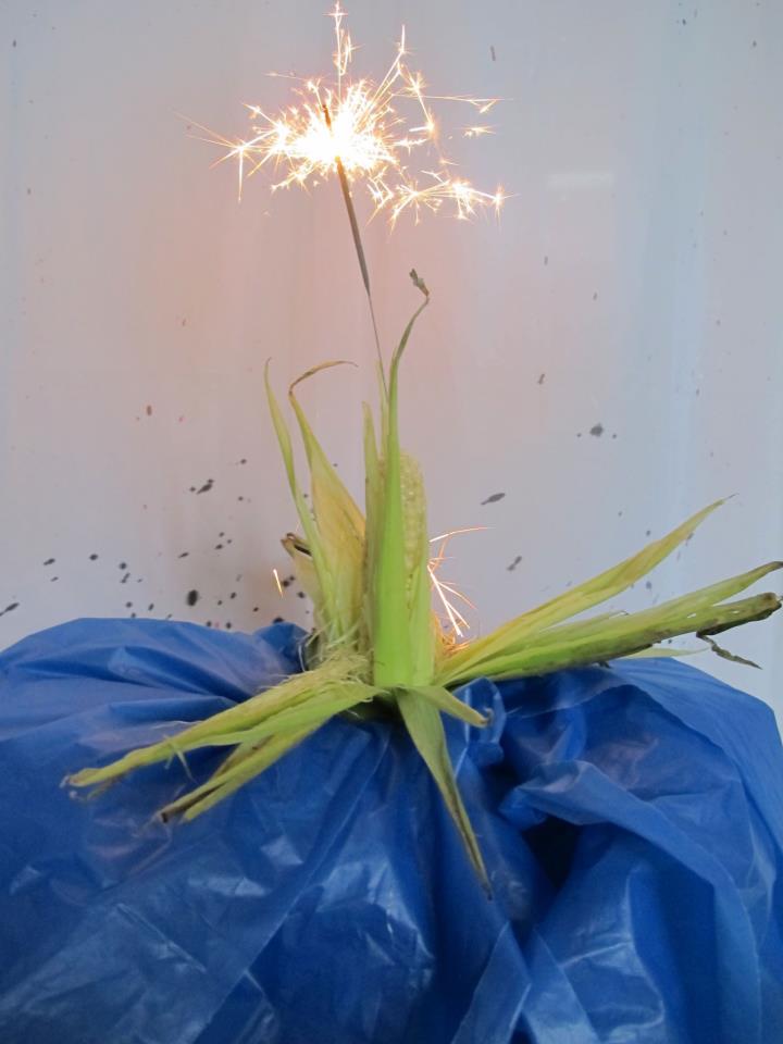 feudebledinde